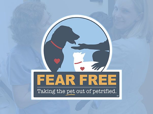 Compass veterinary Clinic - Fear Free