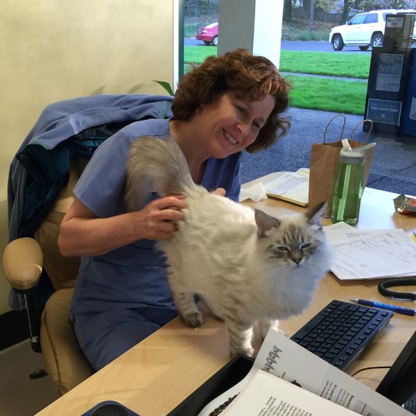cat with Dr. Cherie Connolly